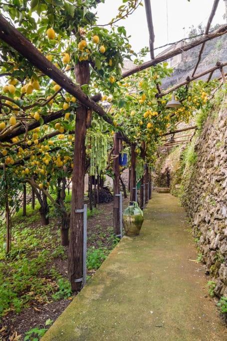 Willa #La Limonaia Della Torretta Minori Zewnętrze zdjęcie