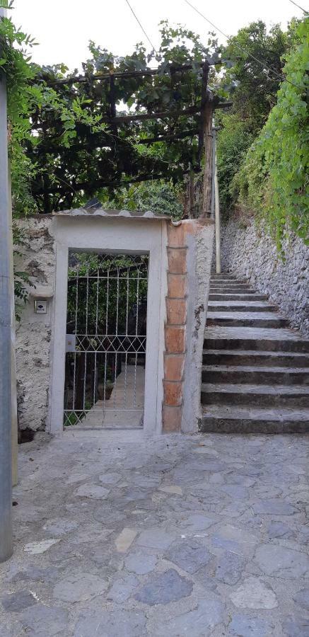 Willa #La Limonaia Della Torretta Minori Zewnętrze zdjęcie