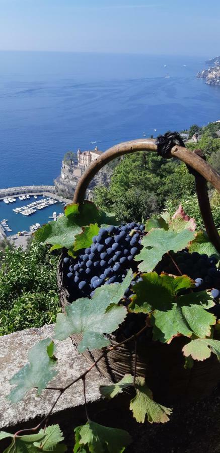 Willa #La Limonaia Della Torretta Minori Zewnętrze zdjęcie